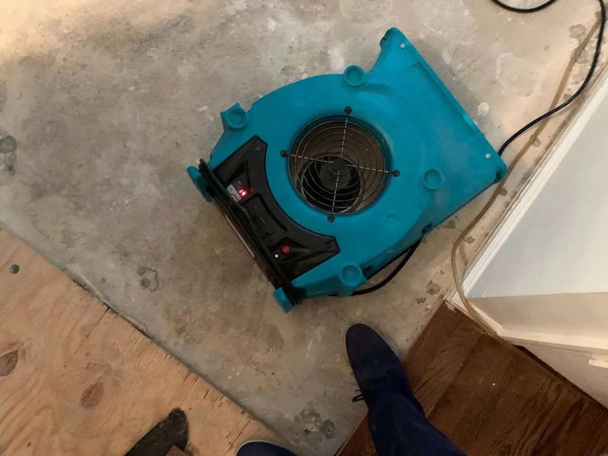 Air mover drying subfloor during Leak Detection & Repair in River Ridge